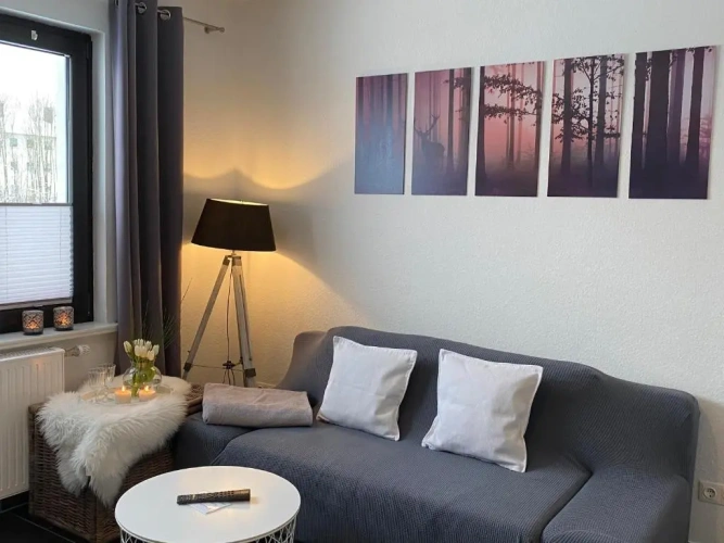 1 Bedroom Apartment