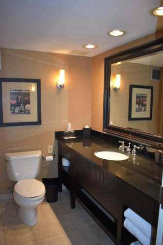 Sheraton Lisle Naperville Hotel photo 12