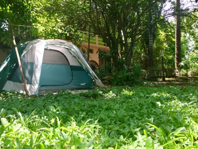 Tent