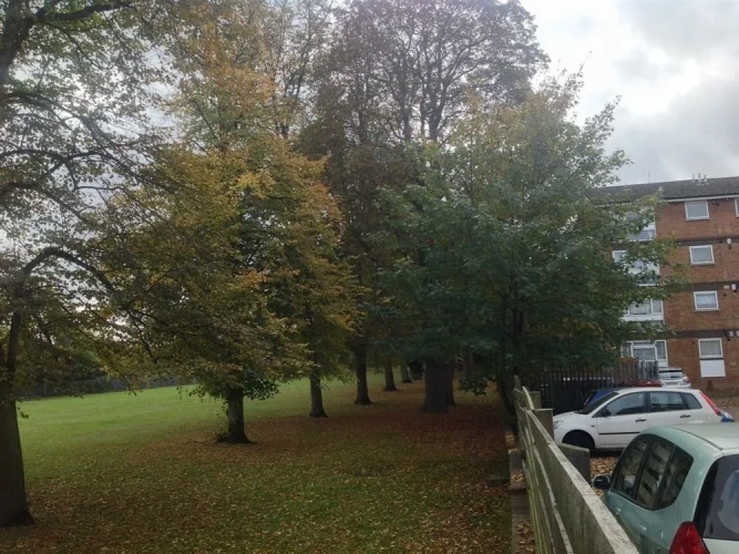 Outside