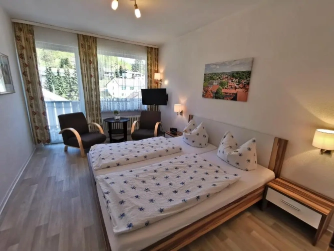 Standard Double room