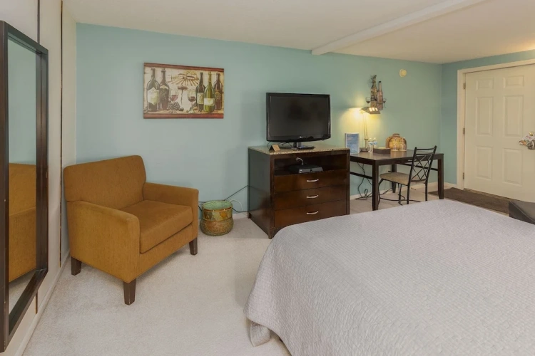Deluxe Suite