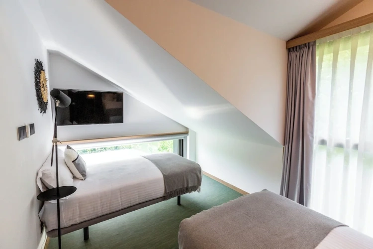 Standard Single room with mountain view
