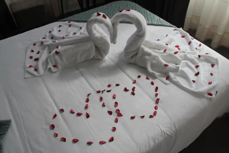 Superior Twin room with view