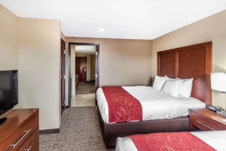 Quadruple Suite