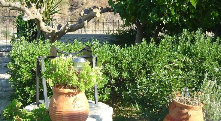 Michalis Apartments