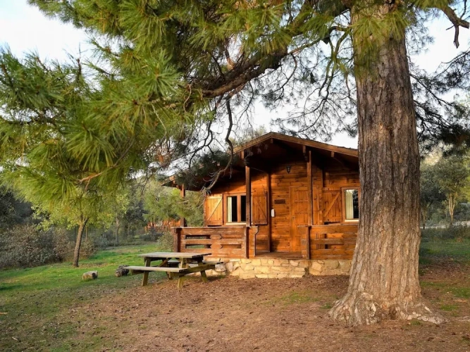 1 Bedroom Standard room