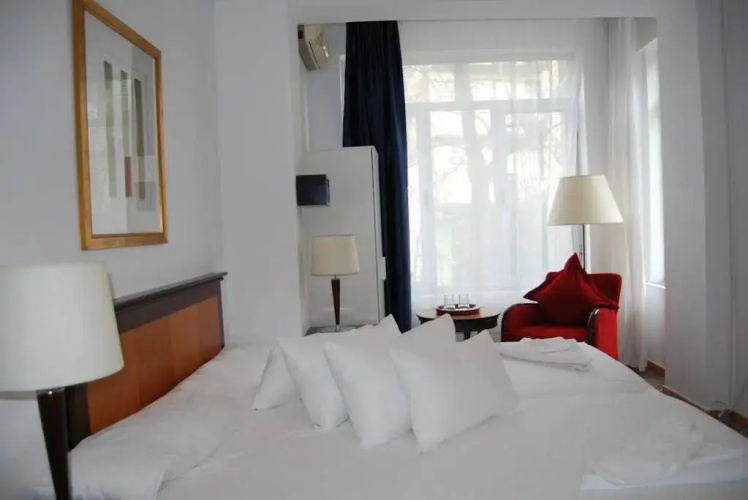 Hotel Litovoi Central