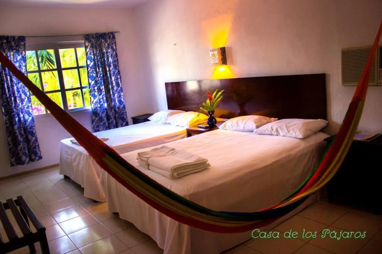 Casa De Los Pájaros - B&B