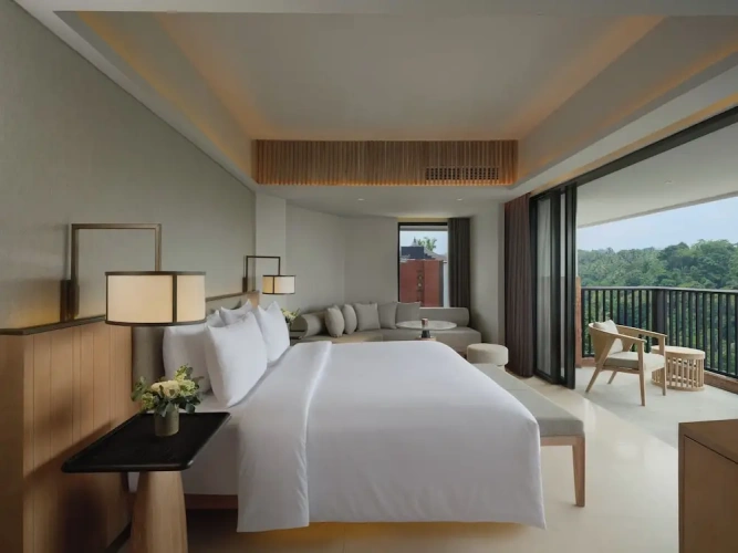 Deluxe Double room with balcony and with land view