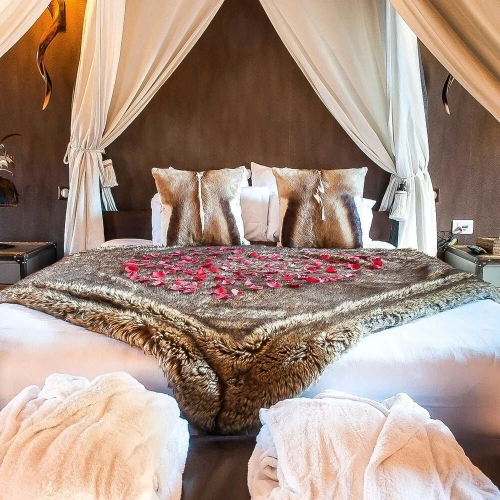 Comfort Suite