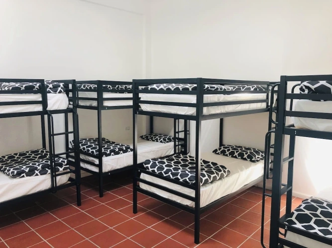 Bed in Dorm