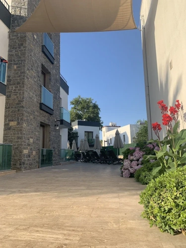 Economy Double Basement room with pool view