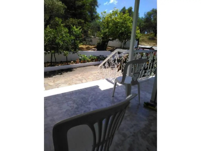 The Green Cottage 1