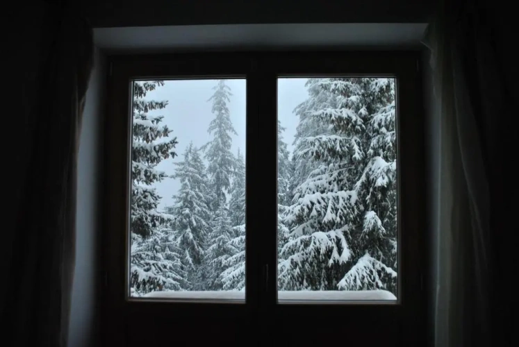 Standard Double room with garden view