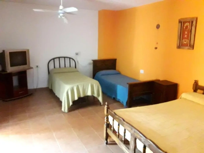 Standard Double Family room