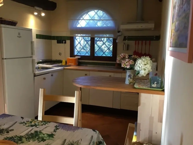 2 Bedrooms Family Basement Apartment with garden view
