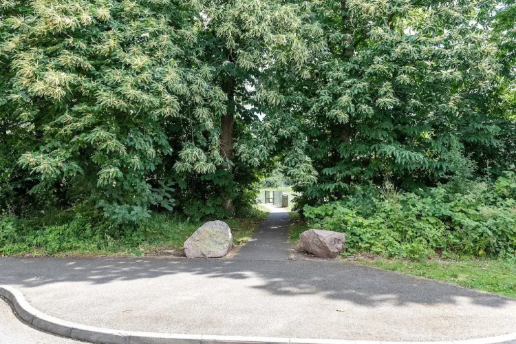 The Sky View