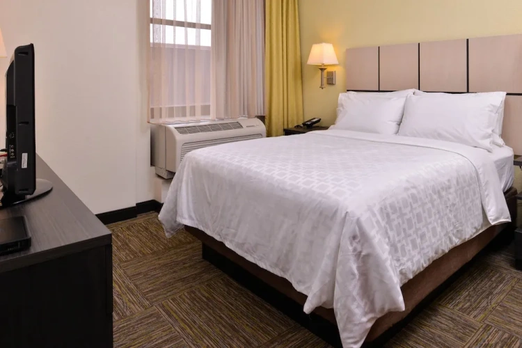 1 Bedroom Suite
