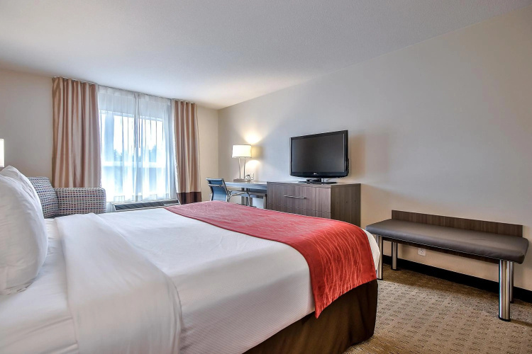 Comfort Inn And Suites South