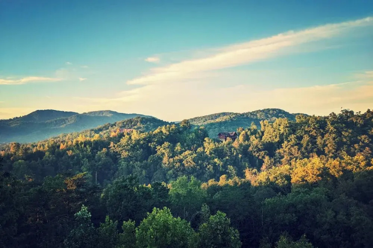 Private Cabin w/ Tree Top Mtn Views: Pets Welcome