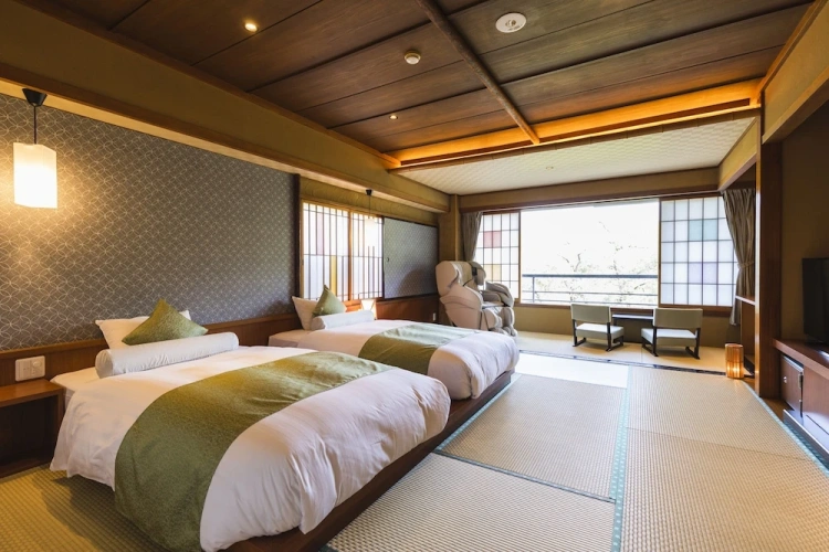 Standard Twin room with river view