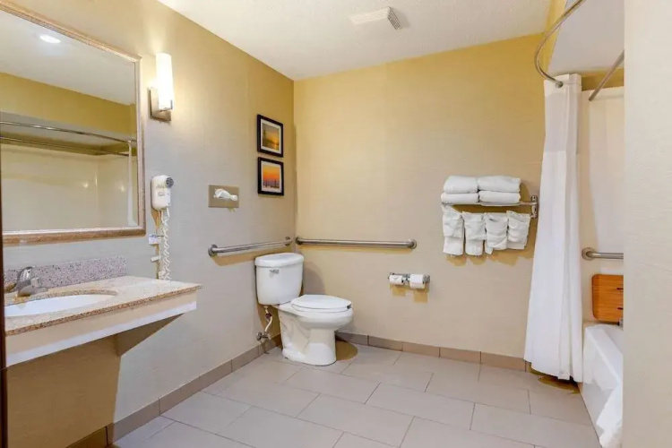 Comfort Suites South Haven Area