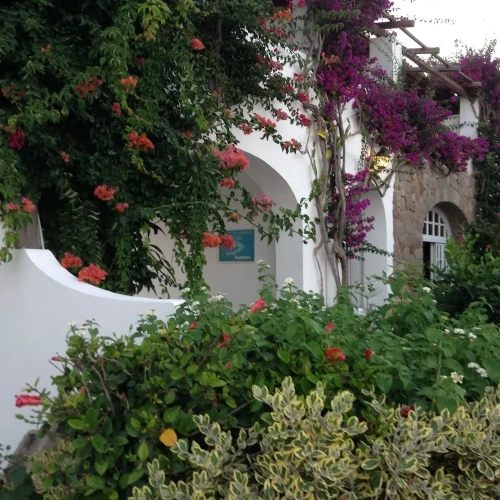 Comfort Double room with garden view