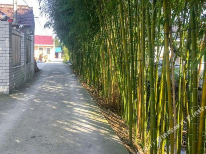 Lai Ba Country House
