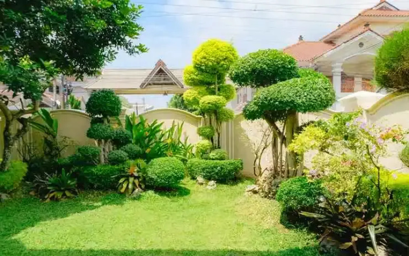 Fernasya Home