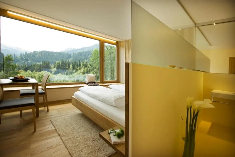 Standard Double room with mountain view