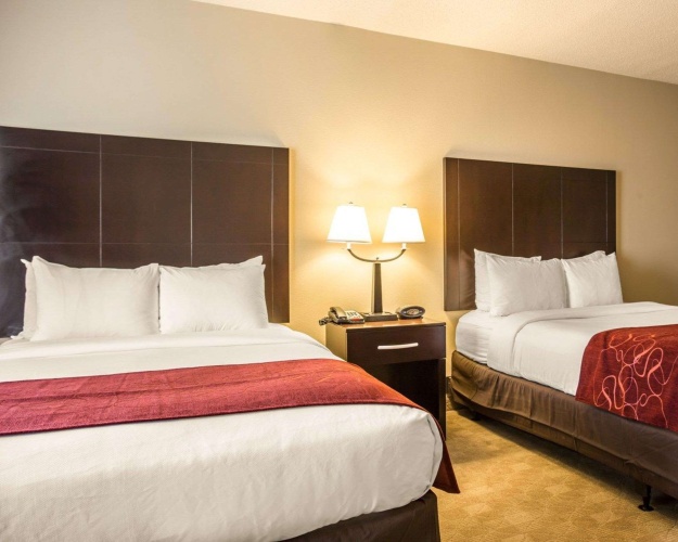 Quadruple Suite