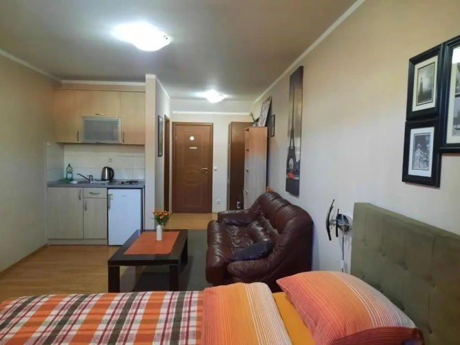 Studio with balcony and with view