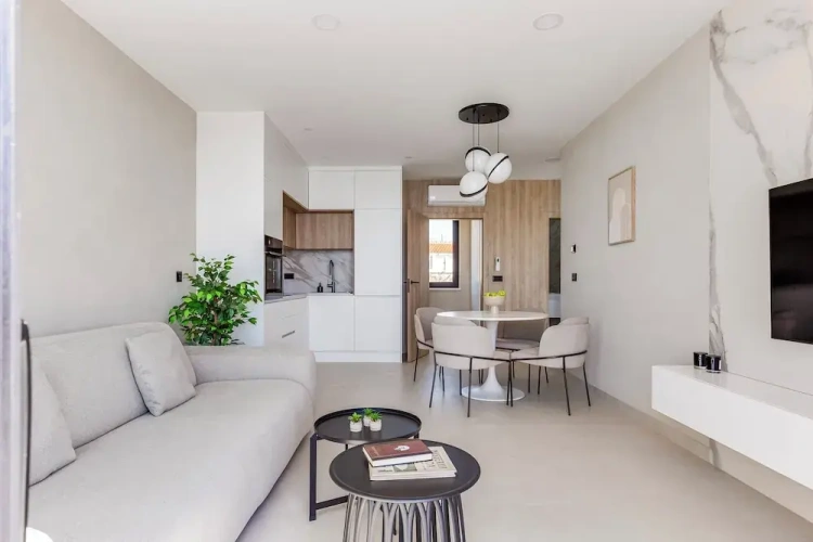 Luxury Apartment