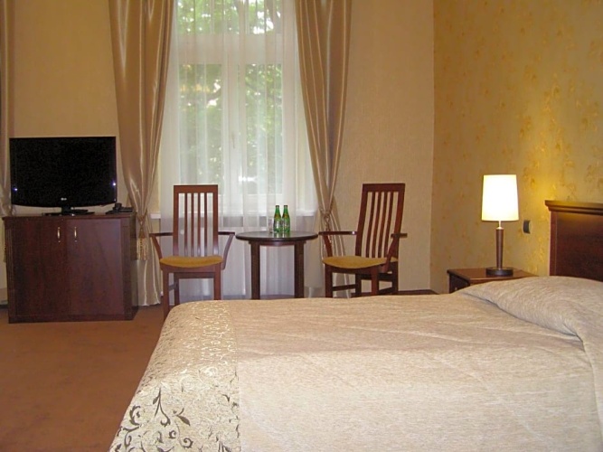 Deluxe Single room with view