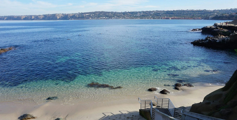 La Jolla Cove photo 24
