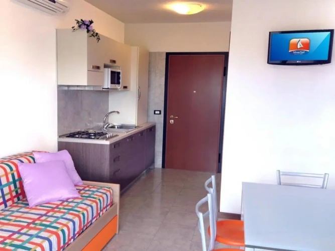 1 Bedroom Apartment
