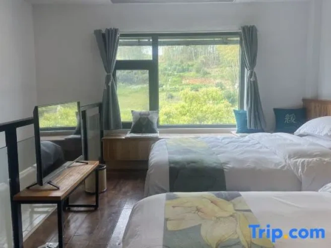 Standard Twin Family room