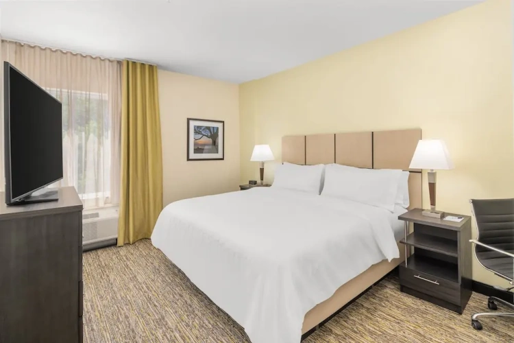 1 Bedroom Suite