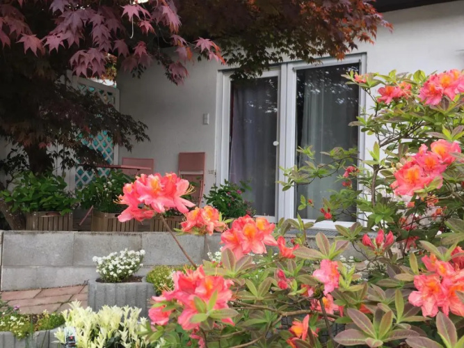 Haus Magnolia 2