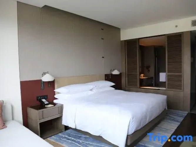 Superior Double room with city view