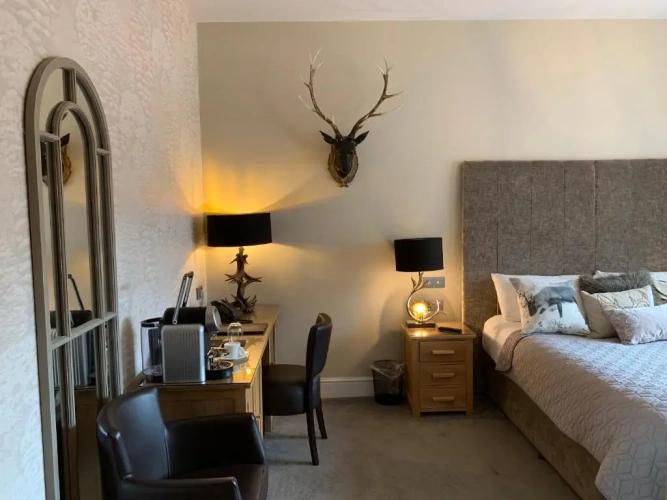 Superior Double room
