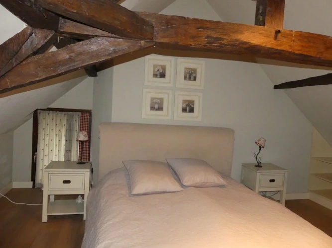 Standard Double room with garden view