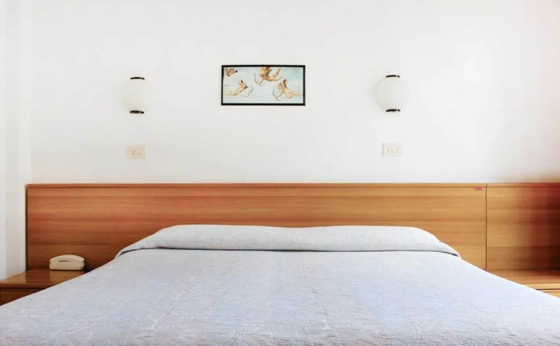 Hotel Ribot