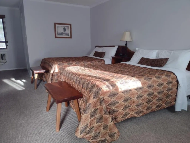 Standard Double room with mountain view