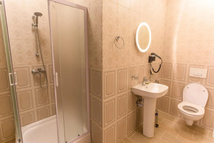 Фотография номера апарт отеля Пушкин