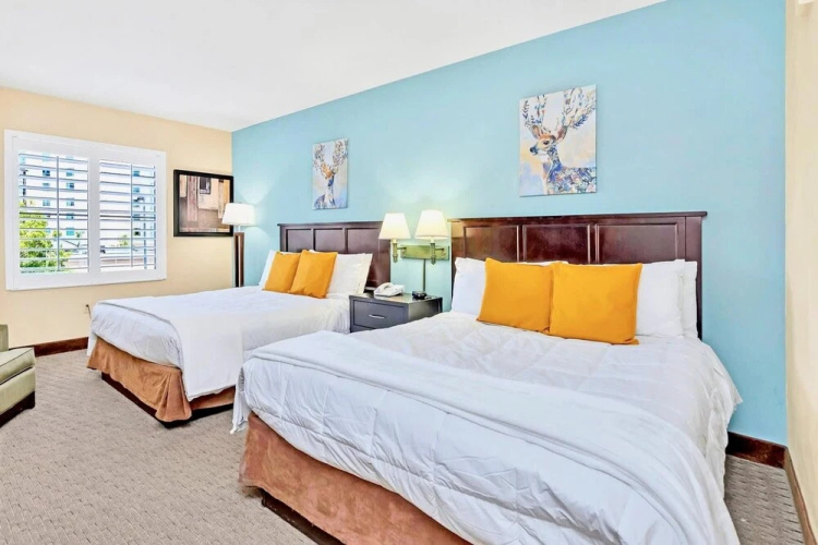 1BR Suite With Two Queens Pool and Hot Tub