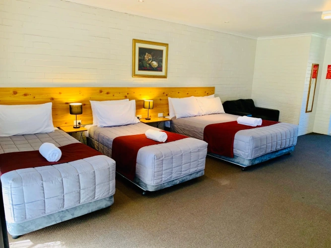 Deluxe Family room