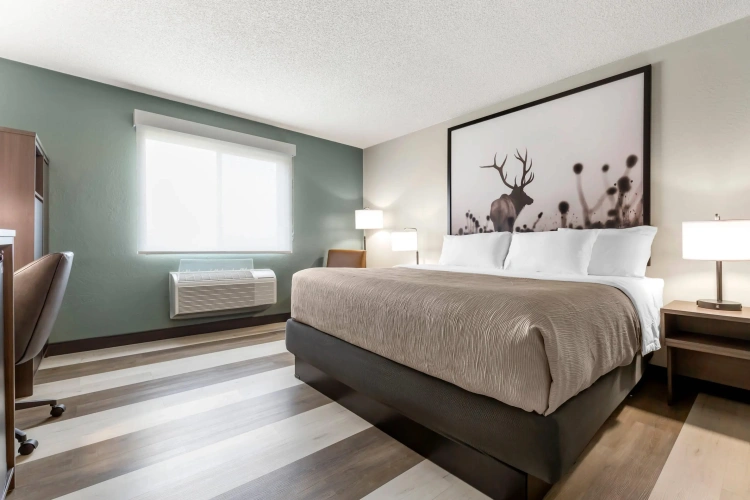 Standard Double room