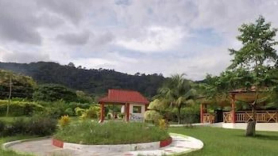 Wildwin Resort - Hostel